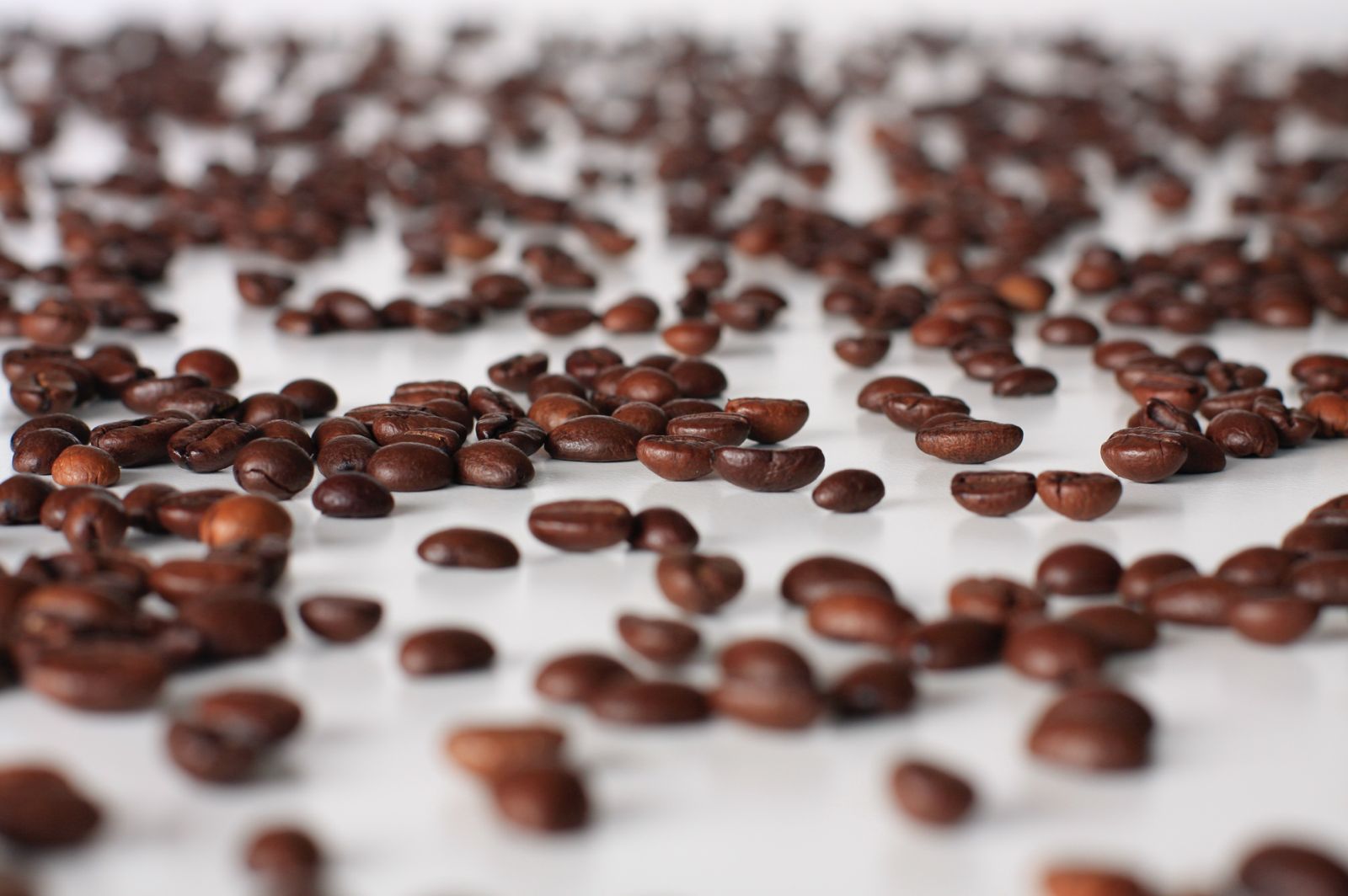 Essse Caffè Espresso Intenso coffee beans with espresso cup and spices – premium Italian blend for rich, intense flavor